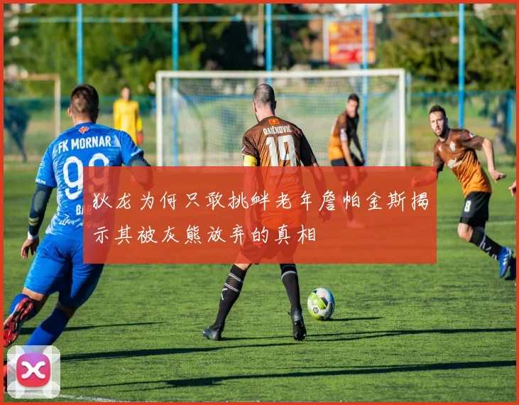 狄龙为何只敢挑衅老年詹帕金斯揭示其被灰熊放弃的真相