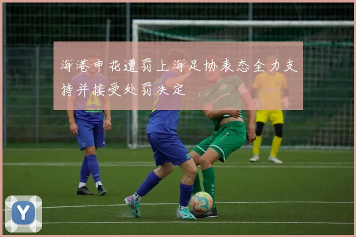 海港申花遭罚上海足协表态全力支持并接受处罚决定